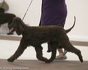 20140301-msda-0325