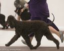 20140301-msda-0327