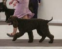 20140301-msda-0336