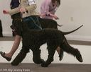 20140301-msda-0343