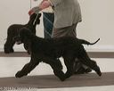 20140301-msda-0345