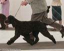 20140301-msda-0347