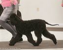 20140301-msda-0352