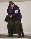 20140301-msda-0361