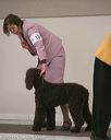 20140301-msda-0362