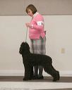 20140301-msda-0365