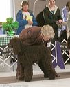 20140301-msda-0150
