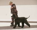 20140301-msda-0151
