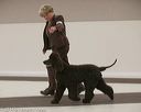 20140301-msda-0153