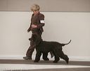 20140301-msda-0158