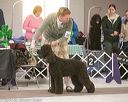 20140301-msda-0161