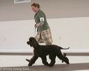 20140301-msda-0163