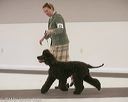 20140301-msda-0168