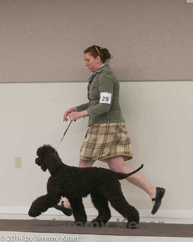 20140301-msda-0146.jpg