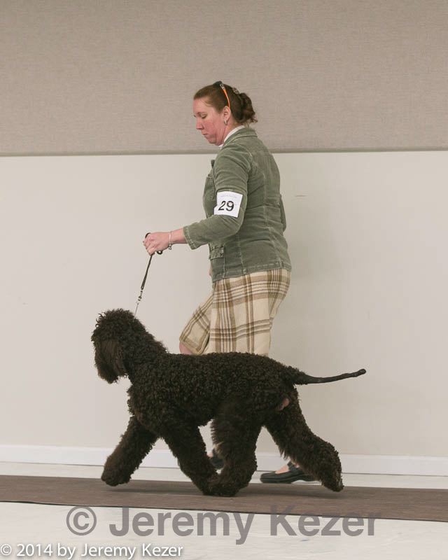 20140301-msda-0149.jpg