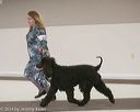 20140301-msda-0200