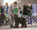 20140301-msda-0205