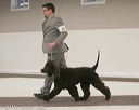 20140301-msda-0209