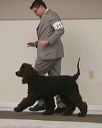20140301-msda-0213