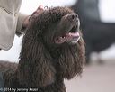 20140301-msda-0495