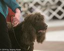 20140301-msda-0089