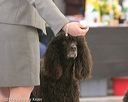 20140301-msda-0091