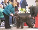 20140301-msda-0102