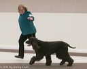 20140301-msda-0110
