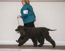 20140301-msda-0117