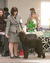 20140301-msda-0118