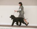 20140301-msda-0129