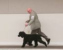20140301-msda-0024