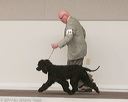 20140301-msda-0026