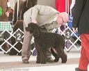 20140301-msda-0027