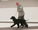 20140301-msda-0032