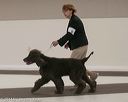 20140301-msda-0044