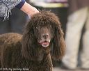 20140301-msda-0059