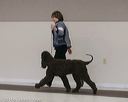 20140301-msda-0065