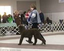 20140301-msda-0070