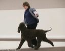 20140301-msda-0074