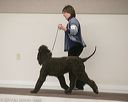 20140301-msda-0081