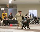 20140302-msda-0259