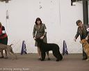 20140302-msda-0261