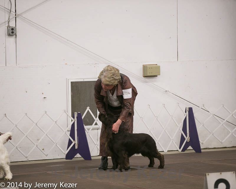 20140302-msda-0263.jpg