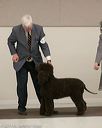 20140302-msda-0149