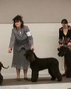 20140302-msda-0150
