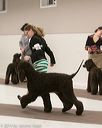 20140302-msda-0157