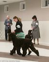 20140302-msda-0160