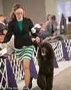 20140302-msda-0162