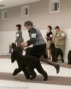 20140302-msda-0166